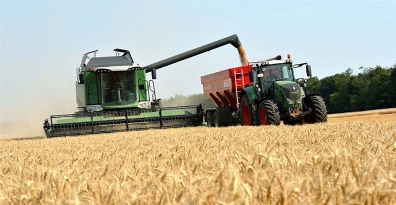 FOOD LIFE VAI INVESTIR NUMA FÁBRICA DE PROCESSAMENTO DE ARROZ NO MOXICO