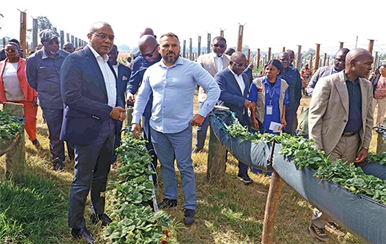 PRODUÇÃO AGRÍCOLA ESTÁ  A IMPULSIONAR O CRESCIMENTO ECONÓMICO DE ANGOLA