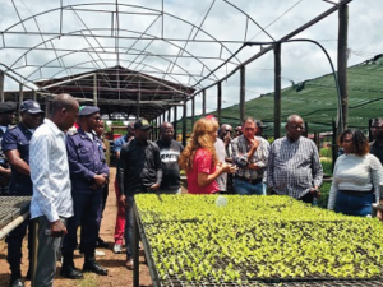 EQUIPAMENTOS  E CAMPOS AGRÍCOLAS DA FAZENDA PUNGO ANDONGO ESTÃO A SER RECUPERADOS