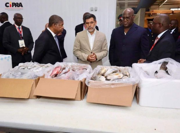 JOÃO LOURENÇO E FÉLIX TSHISEKEDI VISITAM EMPRESAS LIGADAS À ACTIVIDADE PISCATÓRIA