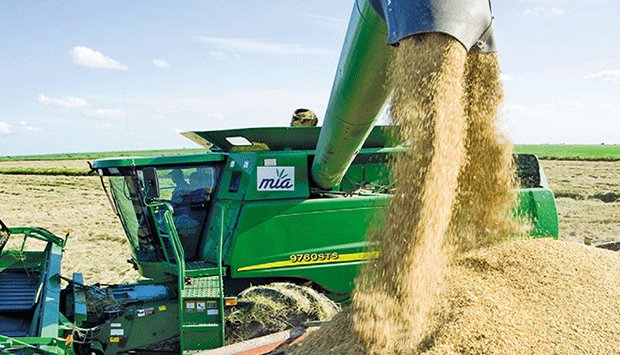 AUMENTO DA PRODUÇÃO NACIONAL ALIVIA INCREMENTO DE PREÇOS