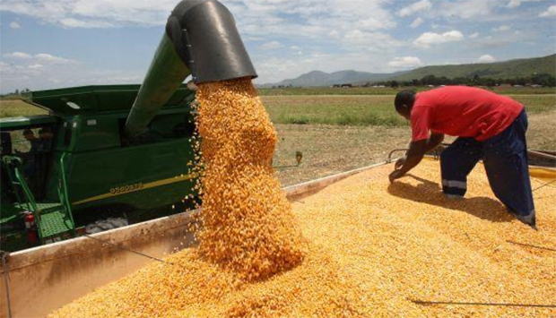 EXECUTIVO REFORÇA SEGURANÇA ALIMENTAR COM INVESTIMENTO DE 200 MILHÕES  DE DÓLARES
