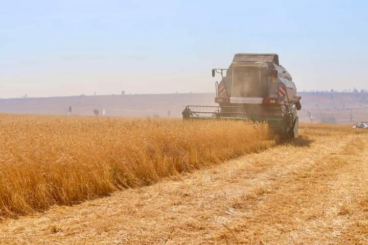 PROVINCIA DO BIÉ VAI PRODUZIR ARROZ EM GRANDE ESCALA