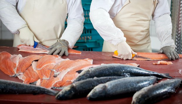 PÓLO INDUSTRIAL  DE VIANA TERÁ FÁBRICA DE PROCESSAMENTO DE PESCADO