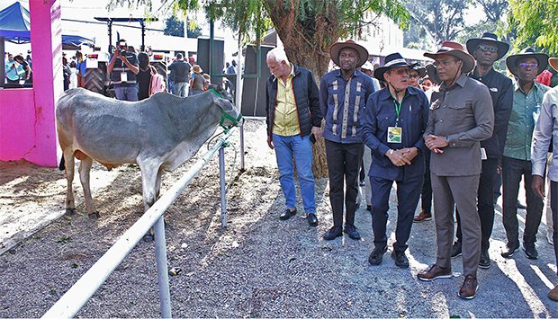 AUMENTO DA  CARNE BOVINA NACIONAL LEVA À REDUÇÃO DE 43% NA IMPORTAÇÃO
